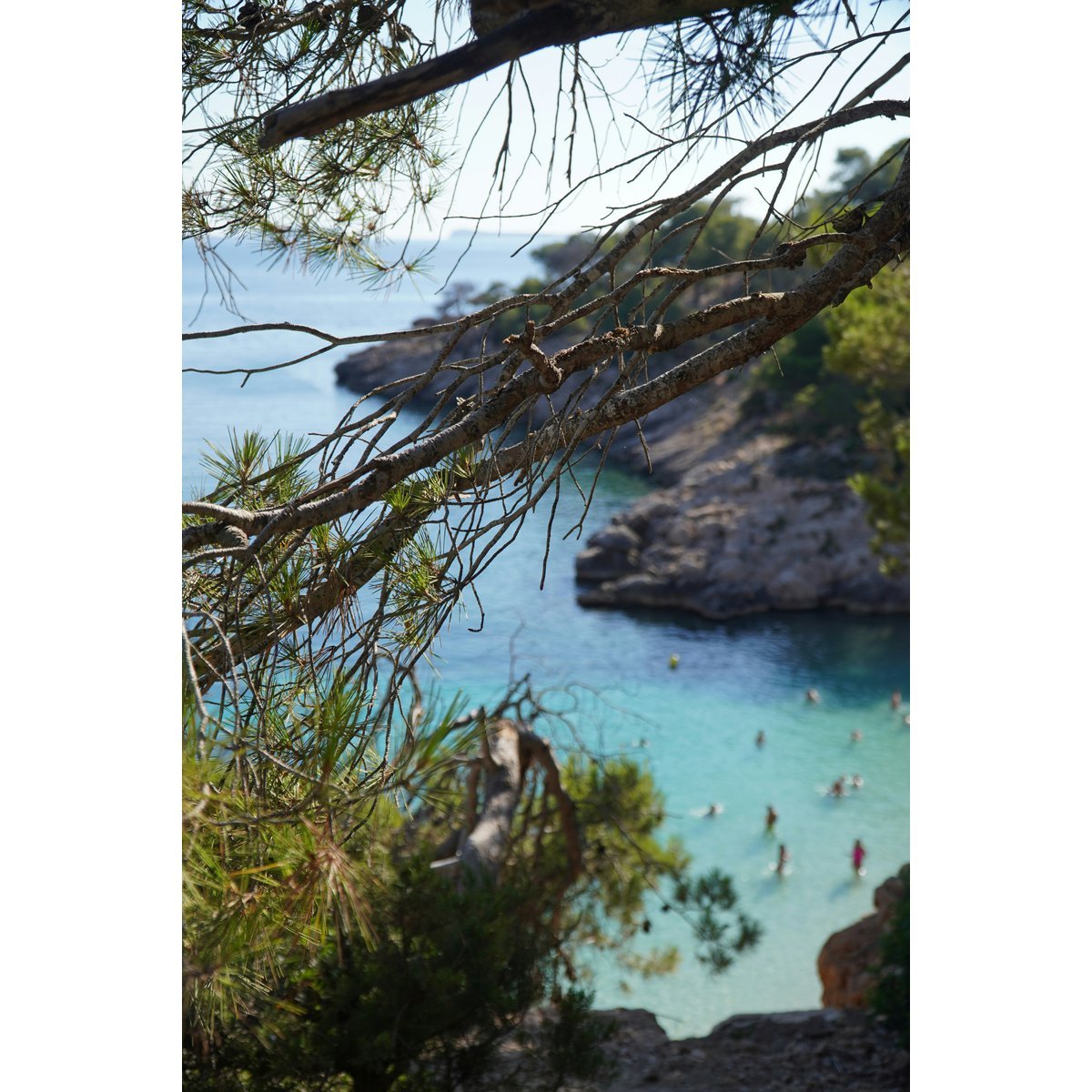Book: A Visit to Ibiza: Destinations of Desire, Original Recipes, and Insider Tips