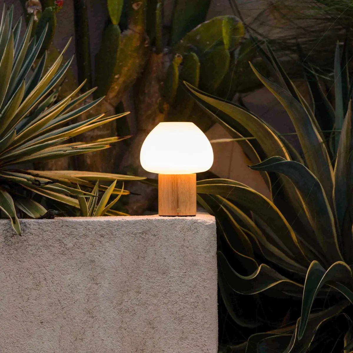 Wooden table lamp 'Fynn' - rechargeable, dimmable