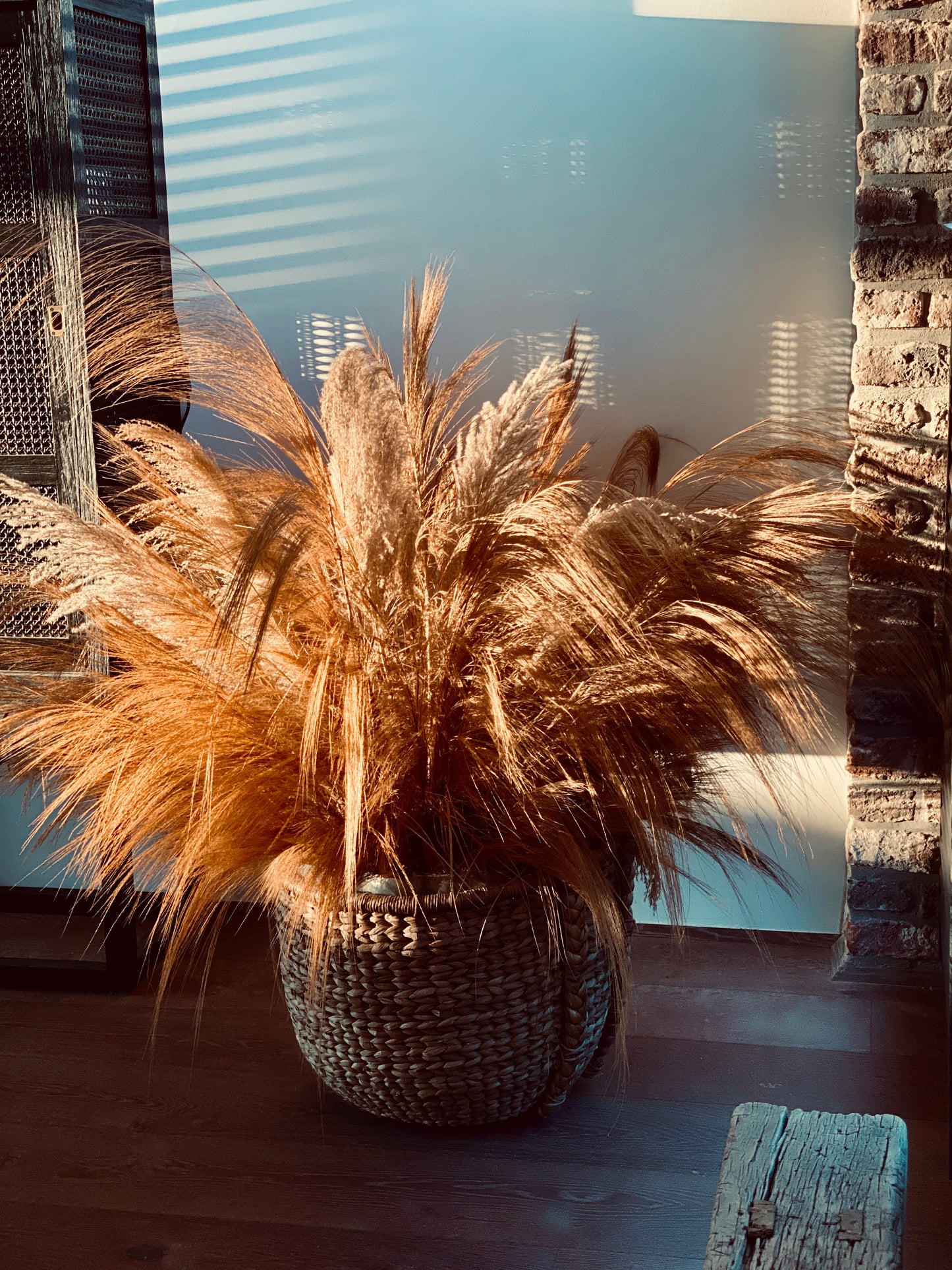 Ornamental grass bundles of natural grasses, dried