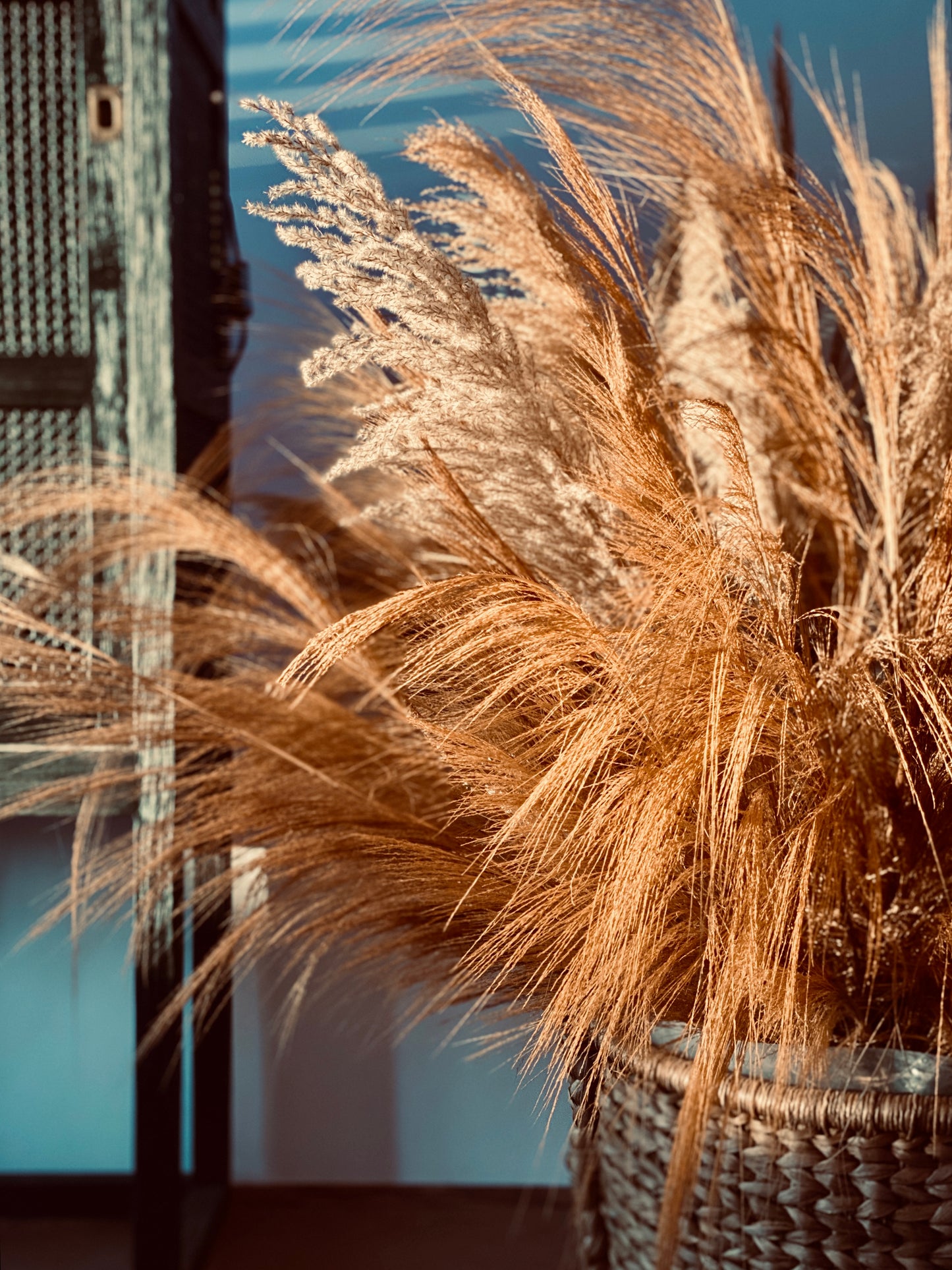 Ornamental grass bundles of natural grasses, dried