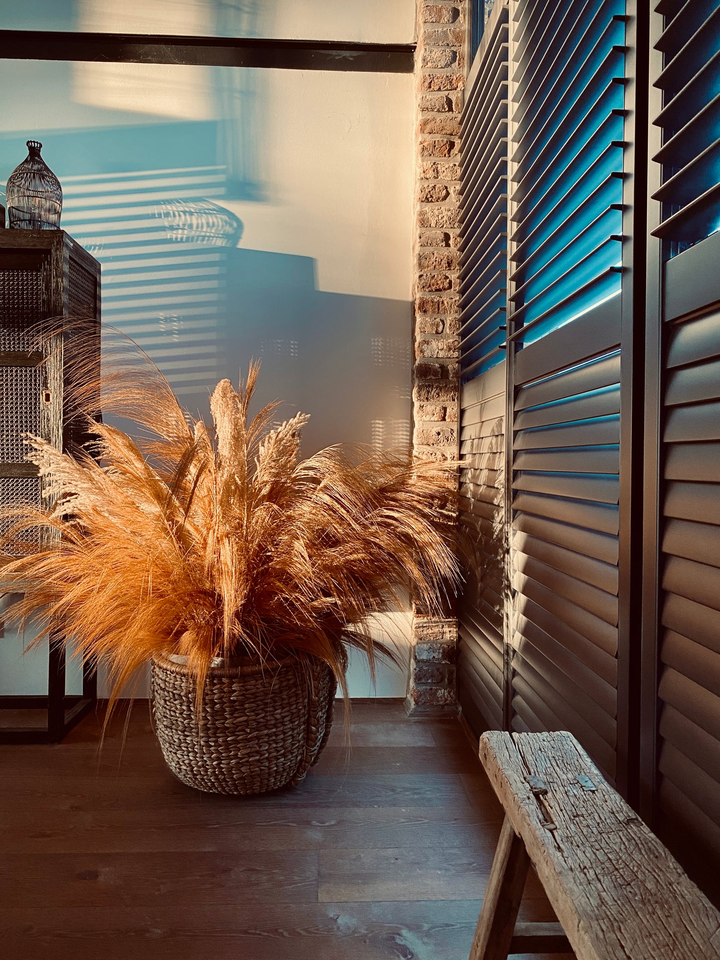 Ornamental grass bundles of natural grasses, dried