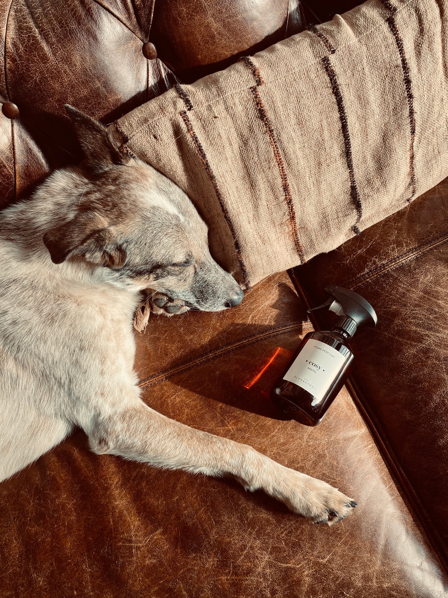 Raumspray - Home Perfume