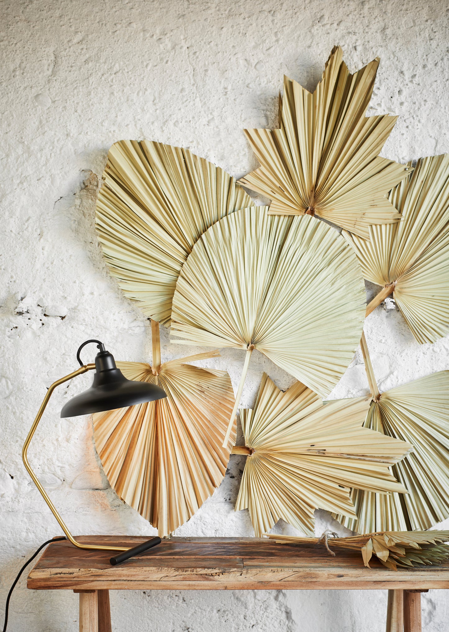Palm Leaves Set of 3 - Decorative palm leaf, natural
