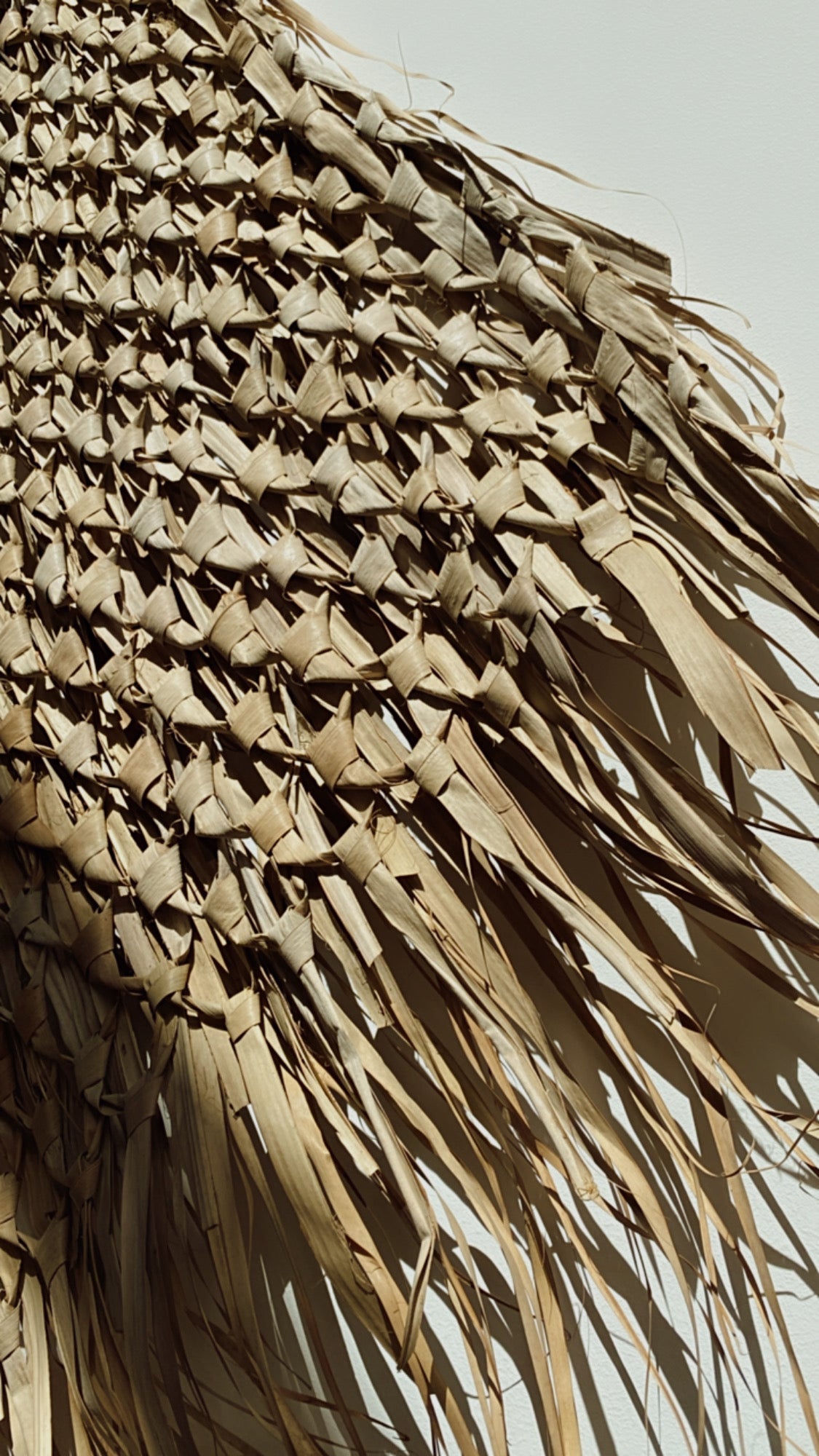 XL Wall Hanging Palmblatt - Wall Decor, Wandteppich aus getrockneten Palmblättern