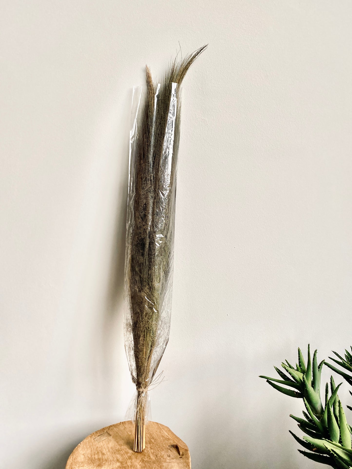 Ornamental grass bundles of natural grasses, dried