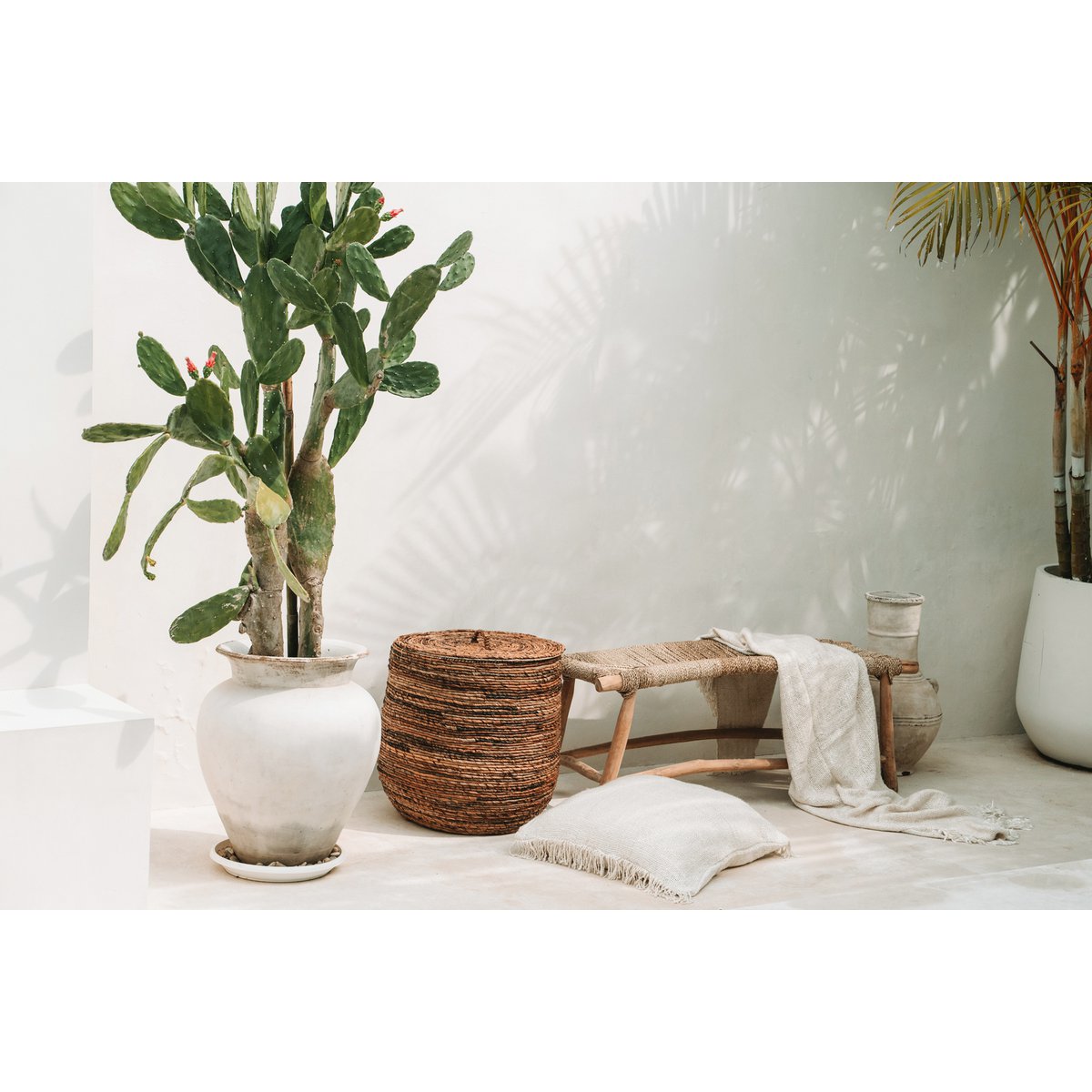 Die Porto Seegrasbank - Natur