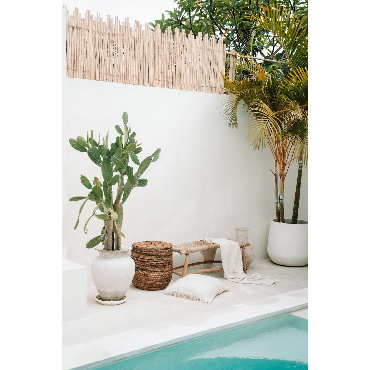 Die Porto Seegrasbank - Natur