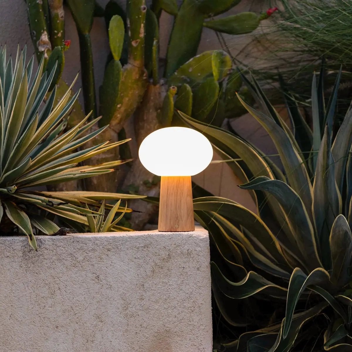 Table lamp 'Max' made of wood with glass shade - rechargeable, dimmable