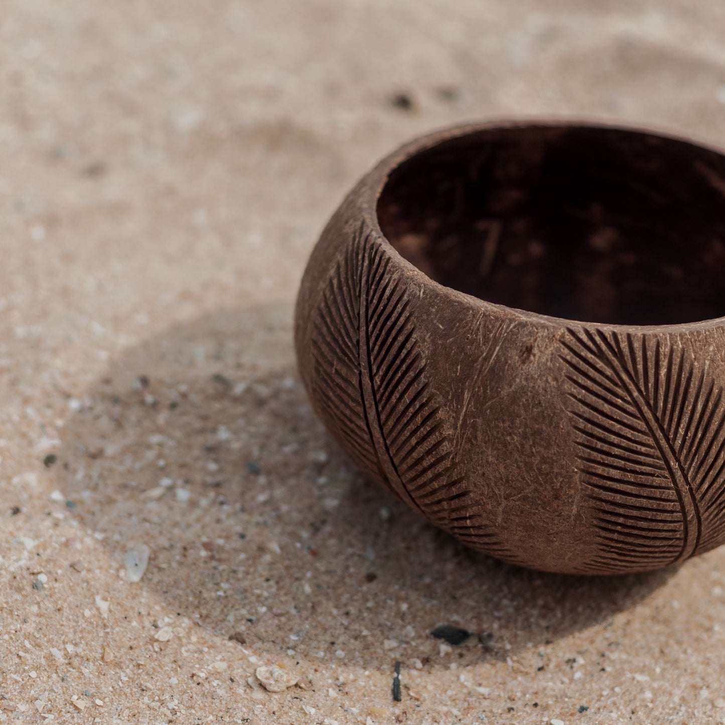 Schale aus Kokosnuss, Coconut Bowl
