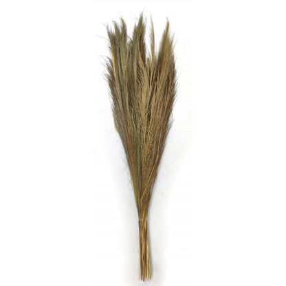 Ornamental grass bundles of natural grasses, dried