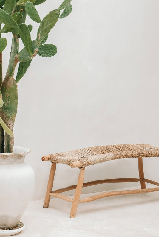 The Porto seagrass bench - nature