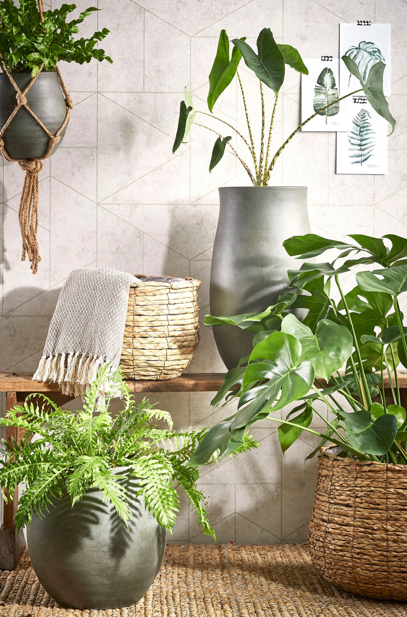 Basket for plants Avalon, H21 x Ø18 cm - seagrass