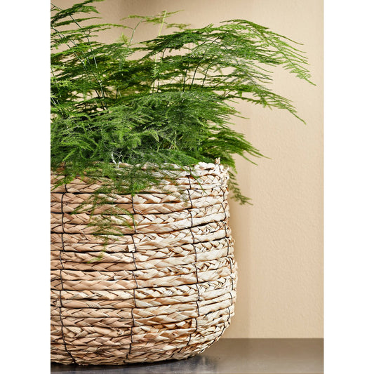 Avalon basket for plants - H31 x Ø30 cm - seagrass