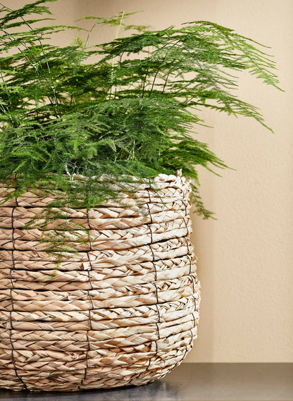 Basket for plants Avalon, H21 x Ø18 cm - seagrass