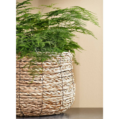 Basket for plants Avalon - H26 x Ø26 cm - seagrass